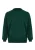 RAIDO Trui  groen