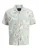 JACK & JONES Overhemd  bruin / pastelgroen / wit