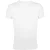 SOLS Heren Regent Slim Fit T-Shirt met korte mouwen (Wit)