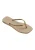 HAVAIANAS Teenslipper  goud / taupe