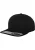 Flexfit Pet  zwart / wit