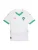 PUMA Functioneel shirt ‘Marokko 2025’  groen / rood / wit