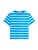 TOMMY HILFIGER Shirt  blauw / lichtblauw / wit