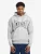 Tapout Sweatshirt  lichtgrijs