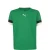 PUMA Functioneel shirt ‘TeamRise’  smaragd / zwart / wit