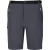 Regatta Heren Xert III Stretch Shorts (Afdichting Grijs)
