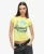 Superdry Vrouwen Varsity Burnout T-shirt Geel