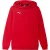 Puma Kinder/kids team goal casuals hoodie