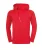 UHLSPORT Sportief sweatshirt ‘Team Pro Essential’  rood