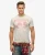 Superdry Mannen Lo-fi Outdoor Mono Relaxed T-shirt Lichtgrijs