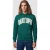 GANT Graphic Hoodie Deep Forest Green
