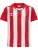 Hummel Functioneel shirt  rood / wit
