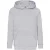 Fruit of the Loom Kinder/kids classic 260 hoodie