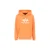 Hoodie Alpha Industries Basic