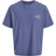 Jack & Jones T-shirt 12284057 jornorre
