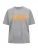 salzhaut Shirt  grijs / oranje