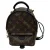 Louis Vuitton Monogram Palm Springs Mini Rugzak in Bruin Canvas