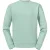 Russell Heren Authentiek Effen Sweatshirt (Eucalyptus)
