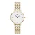 Daniel Wellington Analoog horloge  goud