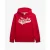 Hoodie Superdry Flyers Script