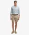 Premium Regular Chino Shorts Brown