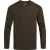 Craghoppers Heren Abel Nosilife T-shirt met lange mouwen (Bosgroen)
