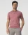 Campbell | Heren | – Polo SS Nathan Wild Ginger Dark Red Melange