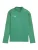 PUMA Functioneel shirt ‘Team Final’  groen / zilver