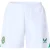 Castore Uniseks Adult Ierland Logo Shorts (Wit)