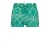 Raizzed casual short Auston met all over print zeegroen/ecru