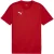 Puma Heren TeamFinal Training T-shirt (Rood/zilver)