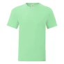 Fruit of the Loom Iconisch T-shirt voor heren (set van 5) (Neo Munt)