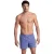 Arena Men’s  Pro_file Beach Short Logo Purple Blue-soft Green