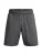 UNDER ARMOUR Sportbroek  grijs