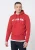 Diesel S Agnes BRO Heren Sweat Hoodie in Rood