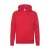 Hoodie Fruit of the Loom Premium