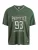 PROTEST Shirt ‘PRTAinsley’  groen