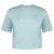 Niccee Womens Aqua Blue Cropped T-shirt