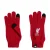 ADIDAS PERFORMANCE Sporthandschoenen ‘FC Liverpool’  knalrood / zwart / wit