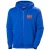 Hooded sweatshirt met rits Helly Hansen Logo 2.0