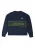 Prohibited Trui  navy / goudgeel / groen