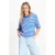 POM Amsterdam gestreept T-shirt blauw