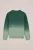 WE Fashion – Jongens trui met dip dye – Regular fit – Groen – Katoen –