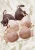 PETITE FLEUR BH  nude / chocoladebruin / poederroze