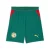 PUMA Sportbroek ‘Senegal’  geel / donkergroen / rood