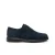 Derbie Geox Ottavio