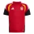 ADIDAS PERFORMANCE Functioneel shirt ‘DFB TR JSYY’  rood