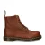 Dr. Martens 1460 Pascal veterboots