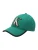 Calvin Klein Pet  jade groen / zwart / wit