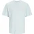 Jack & Jones Jornoto graphic back tee ss crew ne mint